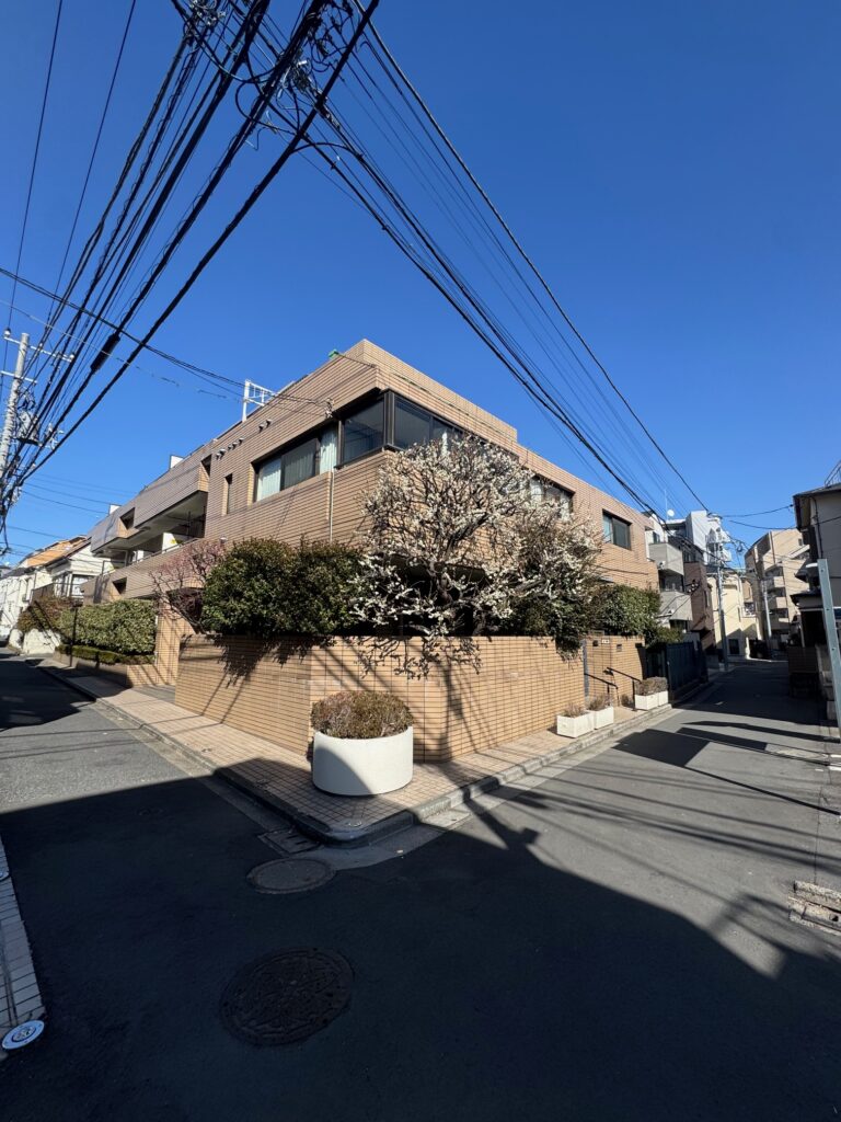中野区新井　レジⅠ